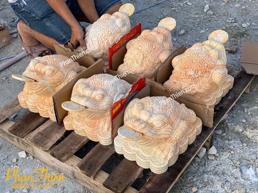 Cóc Thiềm Thừ Đá Cà Rốt Vàng (COC-10)