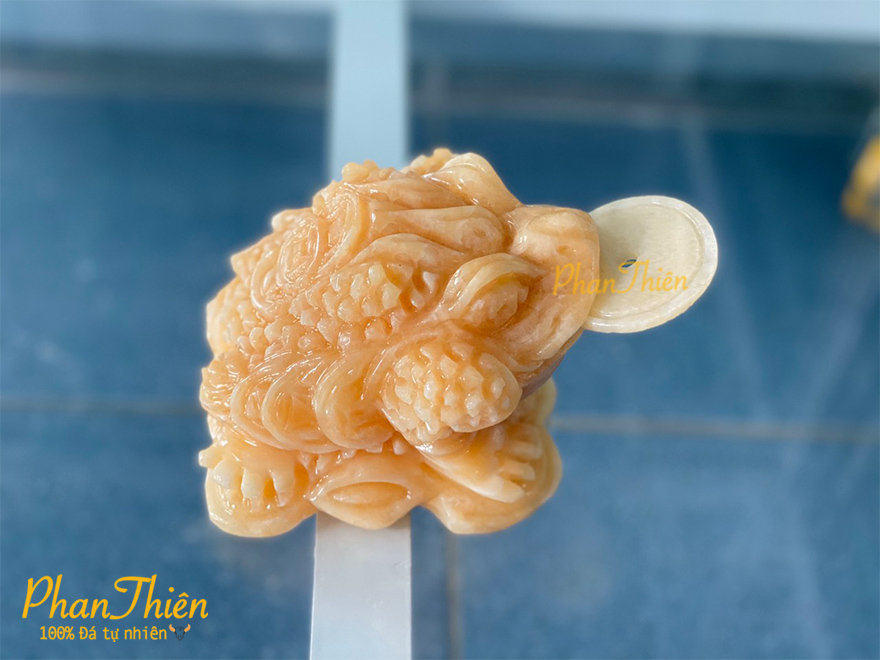 Cóc Thiềm Thừ Đá Ngọc Hoàng Long (COC-03)