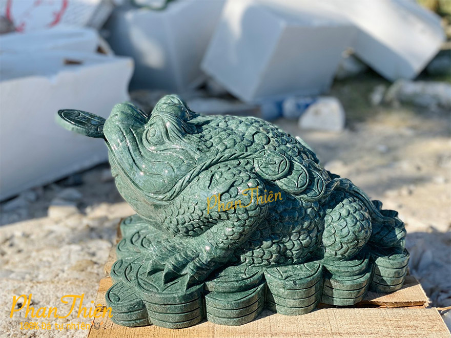 Thiềm Thừ Đá Xanh Ấn Độ (COC-08)