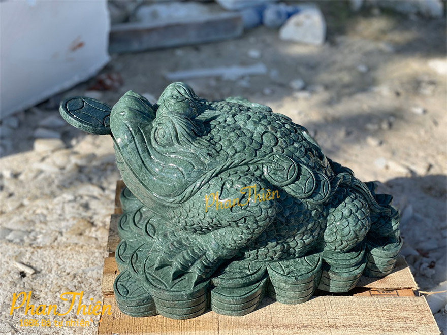 Thiềm Thừ Đá Xanh Ấn Độ (COC-08)