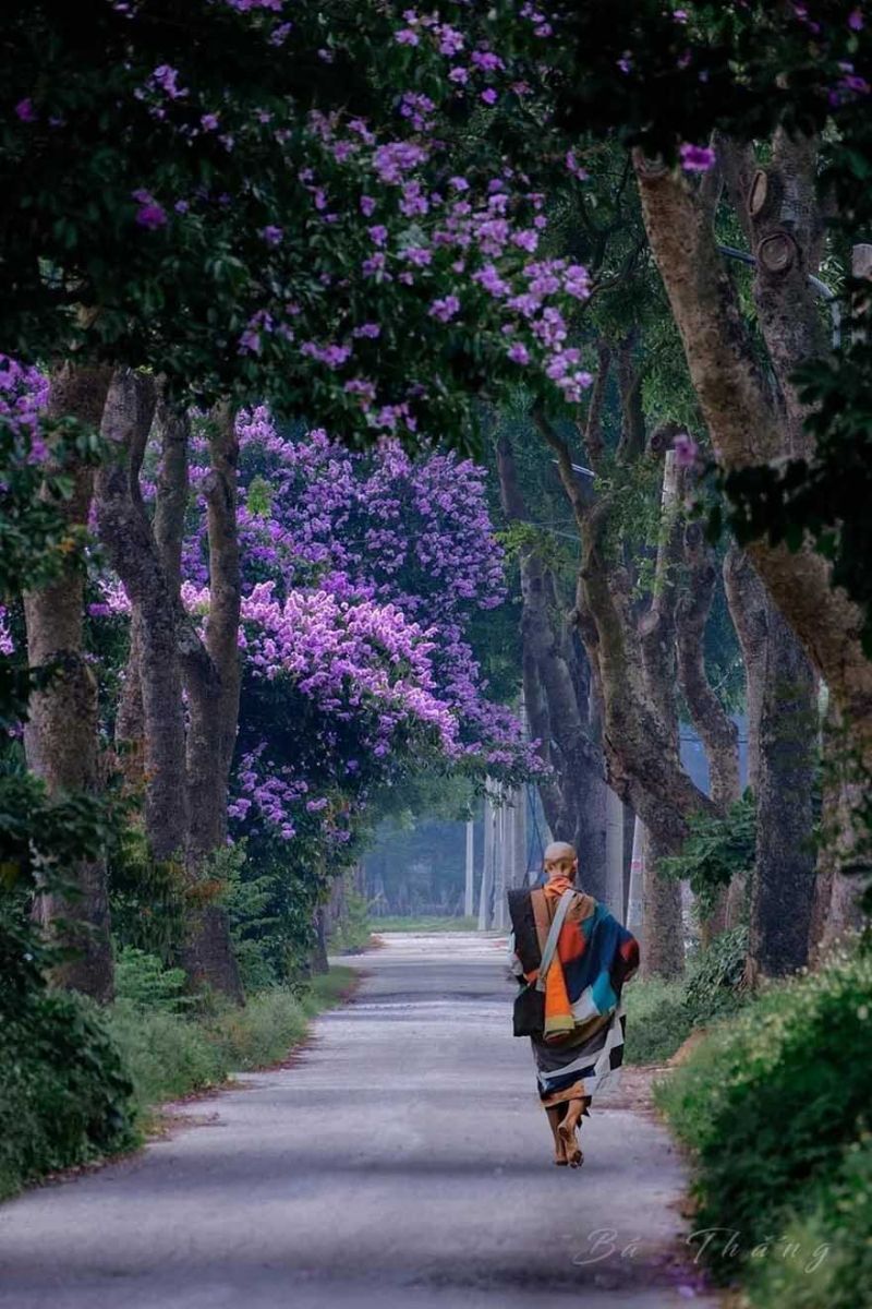 Thích Minh Tuệ – Chân Dung B3