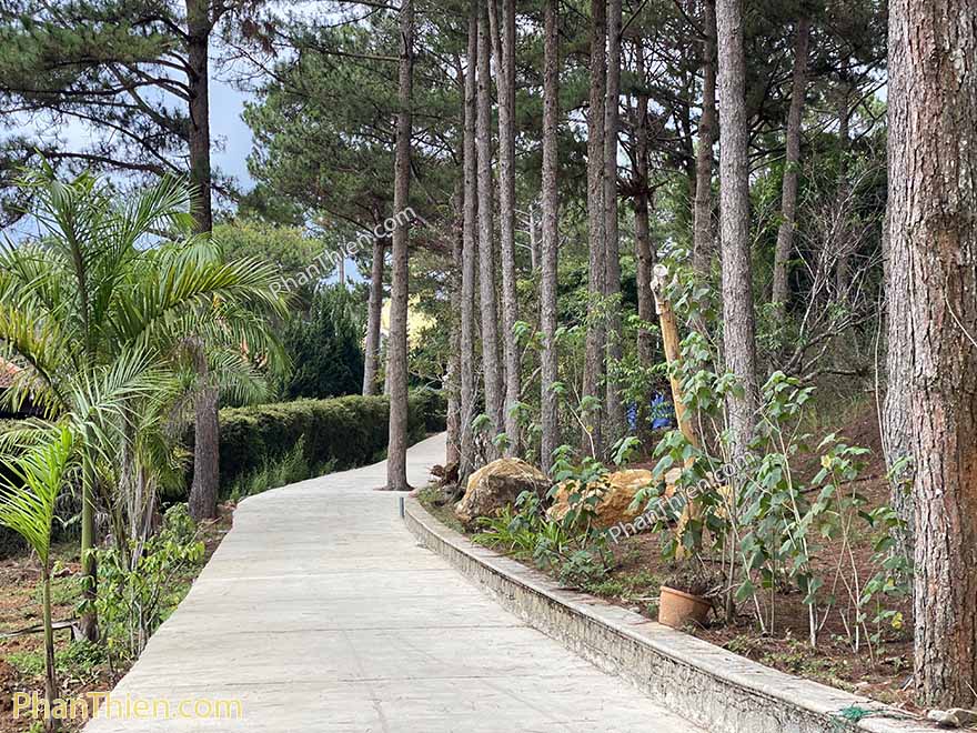 thien vien truc lam da lat