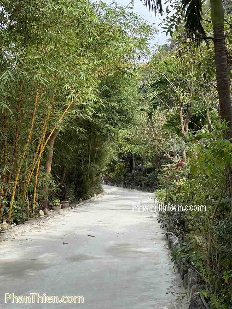 chùa từ tâm đà nẵng