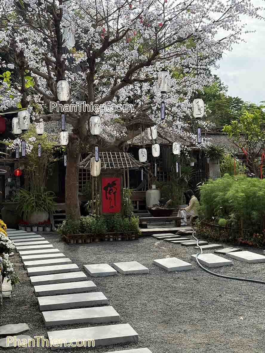 chùa từ tâm đà nẵng