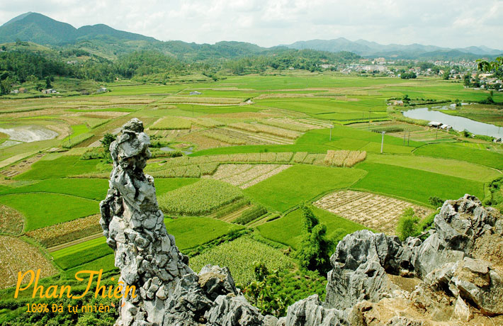 TƯỢNG ĐÁ NGHỆ THUẬT ĐẸP TỰ NHIÊN